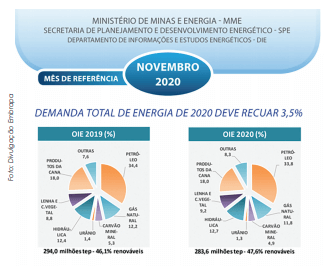 O crescente mercado de Biomassa de Eucalipto
