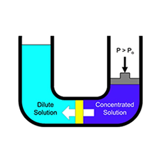 Reverse osmosis membranes are essential to water treatment