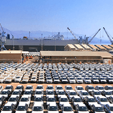 Abeifa completa 30 anos de existência e se desdobra para enfrentar o impacto da pandemia