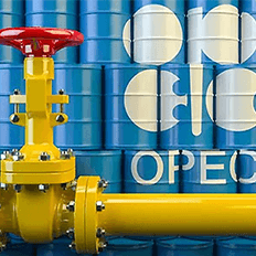 15ª Reunião de Ministros da OPEP e não-OPEP ocorreu por videoconferência 