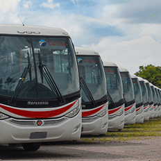 Mercedes-Benz e a Marcopolo renovavam a frota da Companhia Uruguaia de Transporte Coletivo 