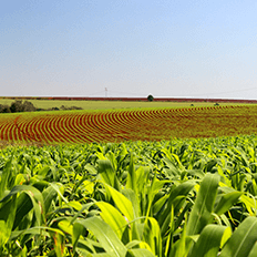Projeto de extensão Fazenda Escola Lagoa do Sino da UFSCar