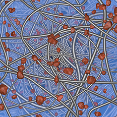 Abra Talks: A variedade e versatilidade dos nãotecidos