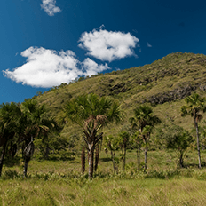 Grupo Boticário prevê ampliar o impacto positivo para a sociedade até 2030 por meio da gestão de resíduos
