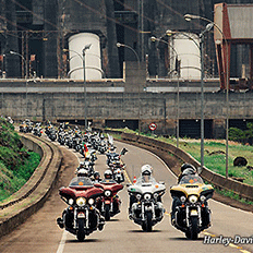 Harley-Davidson celebra dez anos de operações de vendas no Brasil em 2021