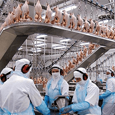 Índice Geral de Desempenho Industrial alcança em abril 55,1 pontos