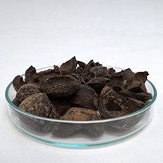 ISI Biomassa e Solea do Brasil desenvolvem projeto que transforma resíduos de macaúba em carvão sustentável