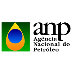Raphael Moura assume como diretor substituto da ANP