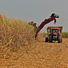 Volkswagen anuncia o centro dos estudos de soluções tecnológicas baseadas no etanol 