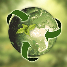 Sustentabilidade e os impactos para a indústria