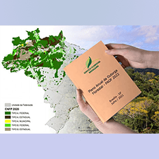 Construção do Plano Anual de Outorga Florestal (PAOF) 2022