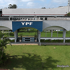 YPF Brasil anuncia crescimento de 4% em market share