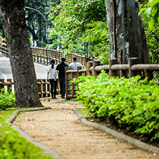 Toyota se compromete com a Agenda 2030 e os Objetivos de Desenvolvimento Sustentável propostos pela ONU