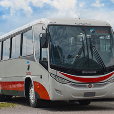 Venda de ônibus em agosto soma 1,6 mil unidades