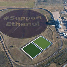 Reino Unido inicia neste mês a introdução de etanol na gasolina vendida 