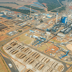 Bracell inicia operações em sua mais nova fábrica