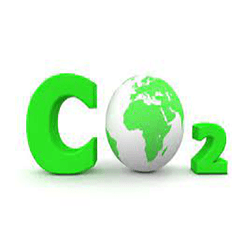 Vitreo, WayCarbon e ForFuturing levantam R$ 51 milhões em primeiro FIP de créditos de carbono do Brasil