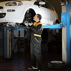 Importância das revisões periódicas