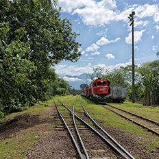 Senado aprova o projeto de lei do Marco Legal das Ferrovias