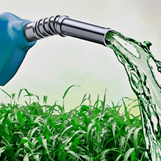 Biocombustível é uma das alternativas viáveis para diversos setores da economia