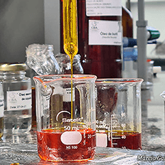 Fórum Mundial de Bioeconomia debate sobre a bioeconomia 