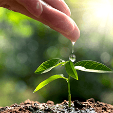 Valmet é incluída no Índice Dow Jones de Sustentabilidade pelo oitavo ano consecutivo