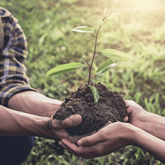 Webinar “Reflexão: Benefícios da Biodiversidade”