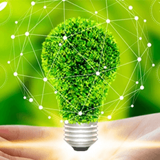 Empresas investem em ESG