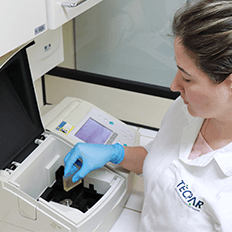 Instituto de Tecnologia do Paraná apoia o agronegócio e agricultura familiar 