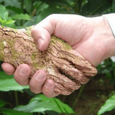 KPMG destaca os riscos do setor de energia associados às mudanças climáticas 