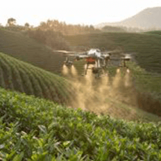 Como tornar mais produtiva e sustentável a atividade do agronegócio