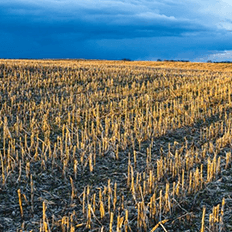 Alfa Laval membranes extract dietary fibres from crop leftovers