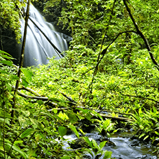 Projeto REDD+ Vale do Jari renova mais um ano de parceria com a SCCON 