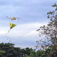 Ambipar cria produto para a prática de reflorestamento em massa