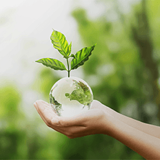 Voith publica seu Relatório de Sustentabilidade 2021