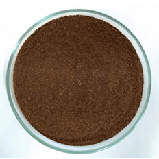 Bagaço de cana-de-açúcar nanomodificado é capaz de ‘limpar’ água contaminada com cobre ou crômio