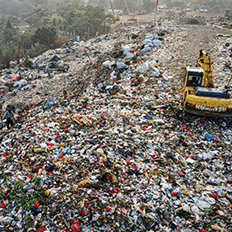 O destino do lixo e o futuro do meio ambiente