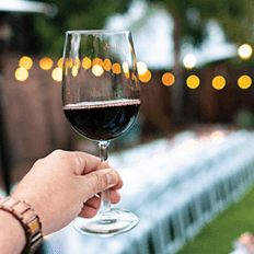 Filtração e novas tecnologias com projetos para atender a cada tipo de vinho