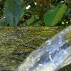 Especialistas debatem sobre criação de pagamentos por Serviços Ambientais Hídricos