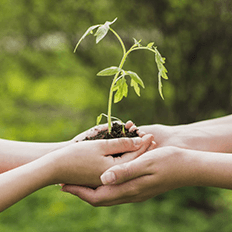 Marcas se preocupam cada vez mais com as práticas sustentáveis por um planeta melhor