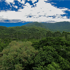 Como compensar o impacto da indústria no meio ambiente
