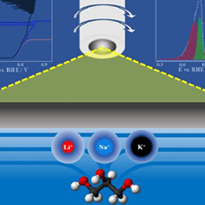 Como transformar moléculas orgânicas em eletricidade, combustível e matéria-prima industrial