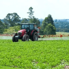 Sistemas agrícolas integrados podem sequestrar mais carbono que o modelo convencional?