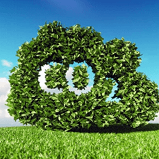 Acelerar o desenvolvimento de tecnologias para a remoção permanente de carbono da atmosfera