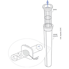 Performance Em Filtro De Mangas