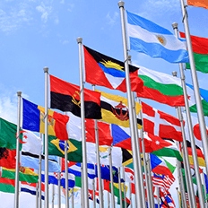 Ball assume o compromisso de implementar continuamente os princípios de sustentabilidade 