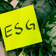 Empresas do setor automotivo passaram a olhar mais para diversidade, governança e temas ambientais