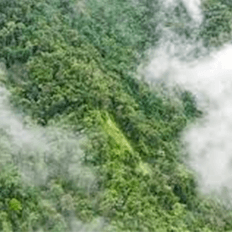 Como manter o aquecimento global abaixo de 1,5-2 graus 