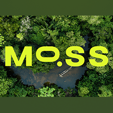 Compensação via créditos de carbono