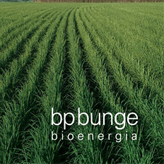 BP Bunge Bioenergia passa a integrar o Pacto Global das Nações Unidas (ONU)